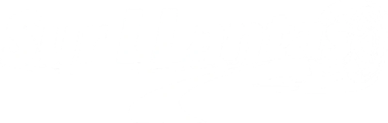 Surllantas